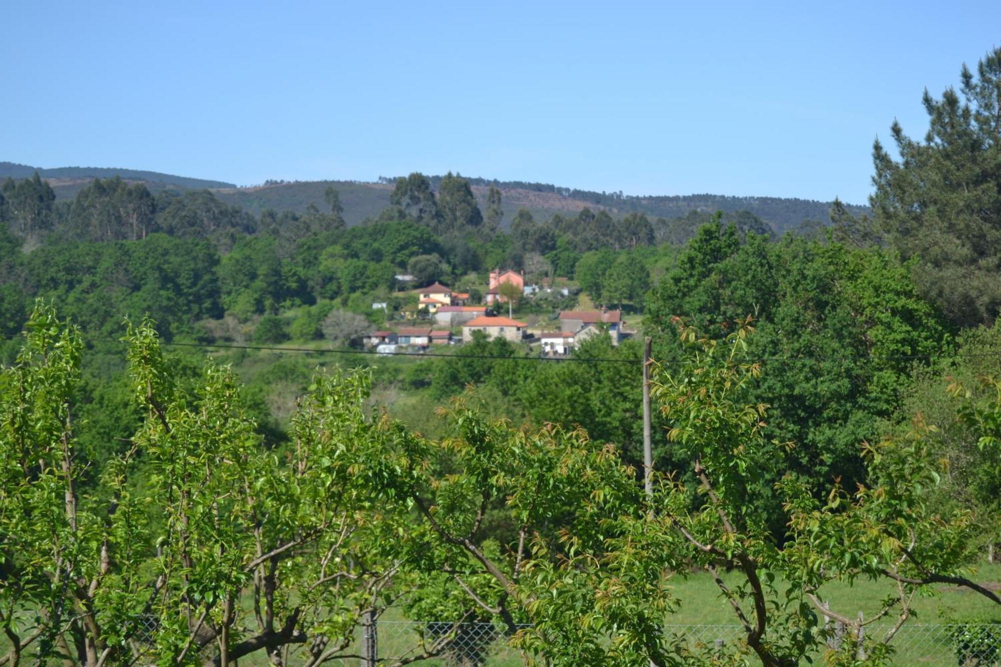 Quinta Da Caselinha